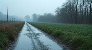 Long-Term Trends in Precipitation: Historical Rainfall and Snowfall Patterns