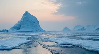 The Role of Sea Ice in Past Climate Variability