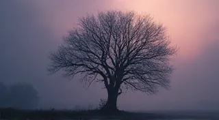 The Rustling Echoes: How Victorian England’s ‘Great Smog’ Forged a New Literary Landscape